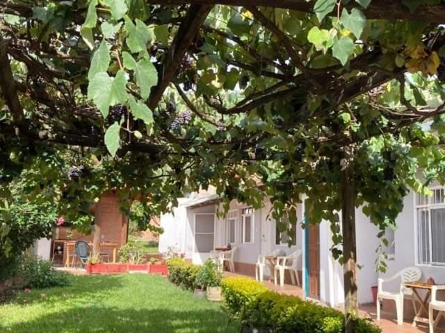 Samailandia Backpack Otel Samaipata Dış mekan fotoğraf